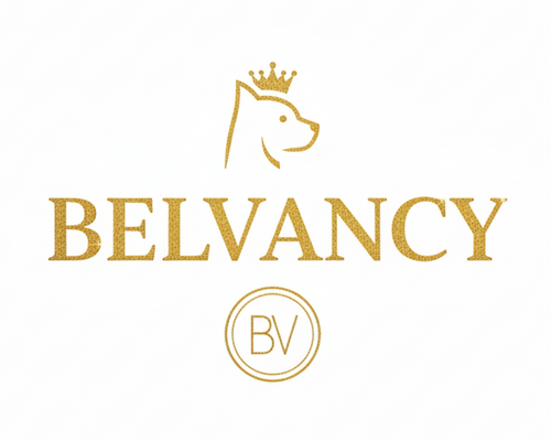Belvancy